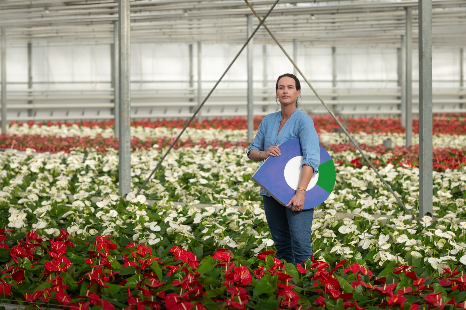 Een vrouw die een bloemenkweker is. Zij staat in een kas met een pointer regio groen onder haar arm. Achter haar zie je de grote kas waar heel veel Anthurium planten op een rij staan. Deze zijn rood en wit. De vrouw heeft en blauwe blouse aan en heeft donker haar in een staart. Zij staat tussen de planten.